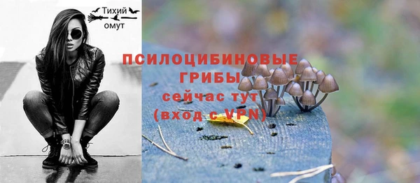 a pvp Володарск