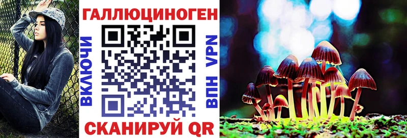Купить где  Опочка  Псилоцибиновые грибы Psilocybine cubensis 